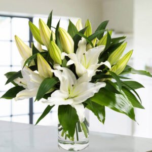 Ramo de flores finlandia Lilium Oriental Blanco