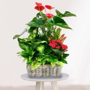 4e3f3365d4c88cb04860d579f23f1181