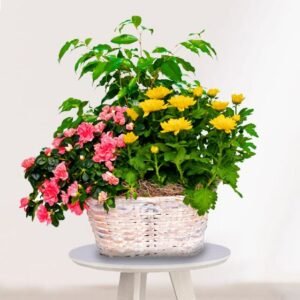 6c3c76a2a95afabbdd930ff6ab07d9b7