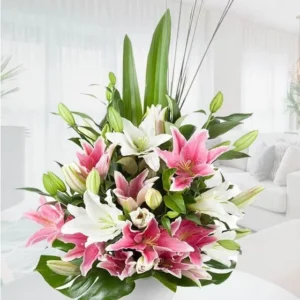 Centro Flores Sudafricas 560x560