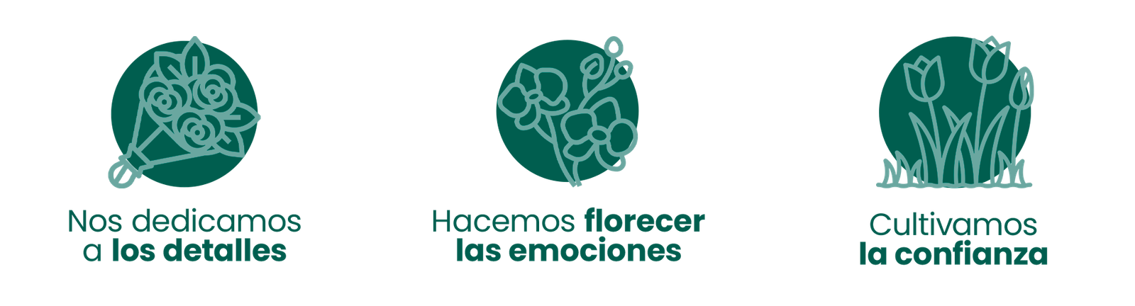 Conocenos