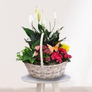 ce65d927aae575e5f0b370418a7fcb19